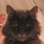 Profile picture of Doug