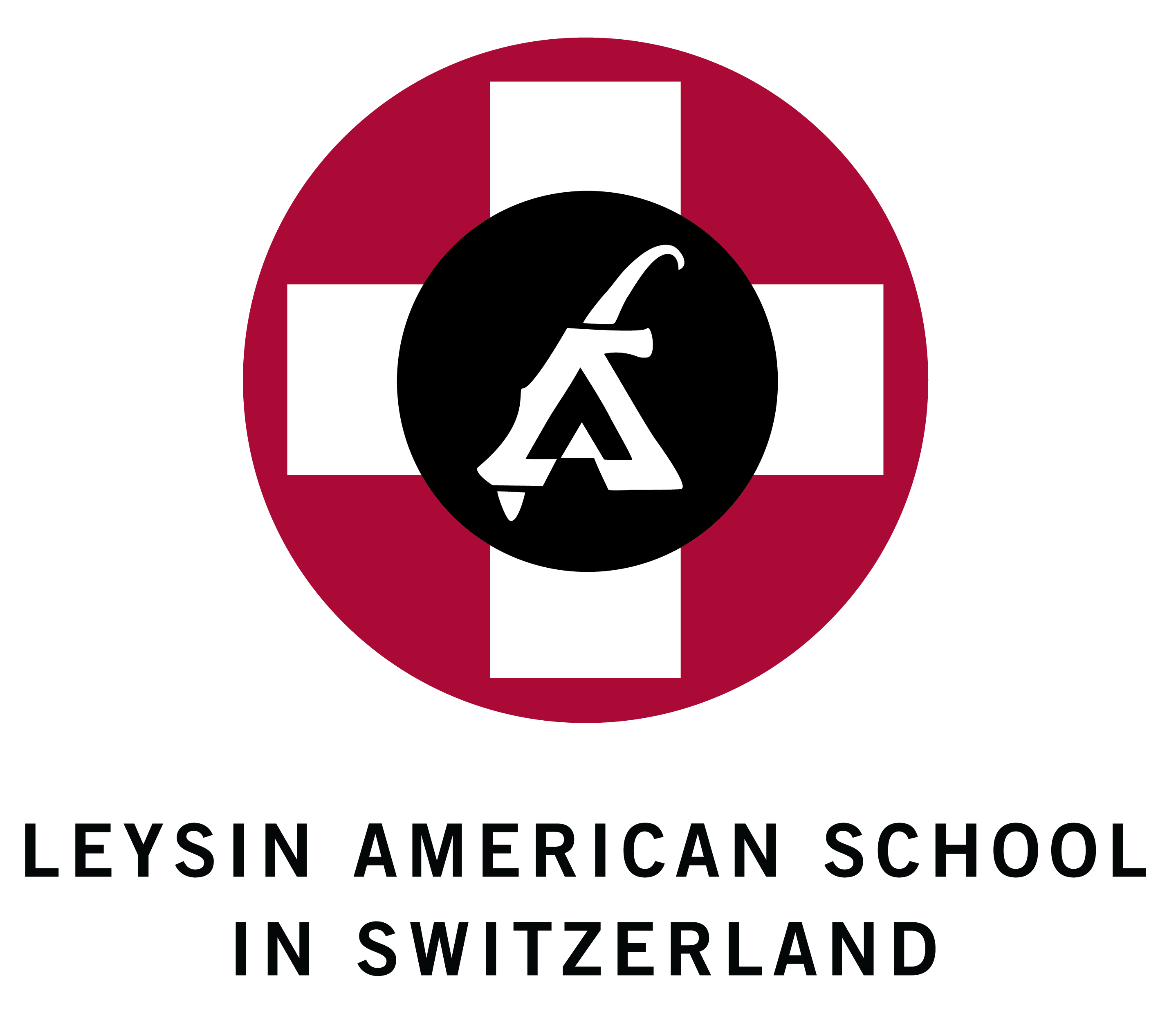 Practical Projects at our Da Vinci Lab